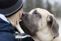 Click to view big image 2377502-true-love-madchen-und-ihren-grossen-hund.jpg